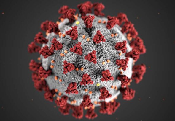 covid-19-coronavirus-covid-cell-pandemic-corona-virus-1608796-pxhere.com (1)